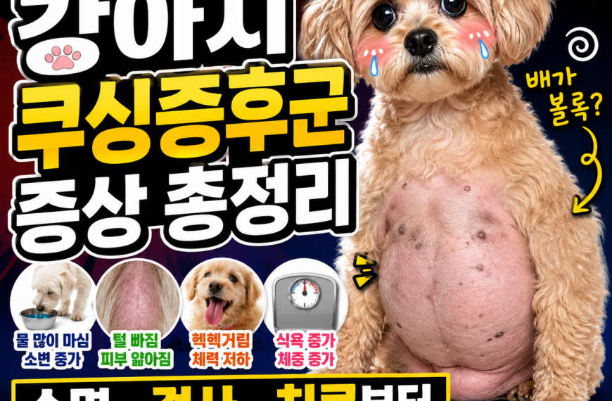 강아지 쿠싱증후군 증상