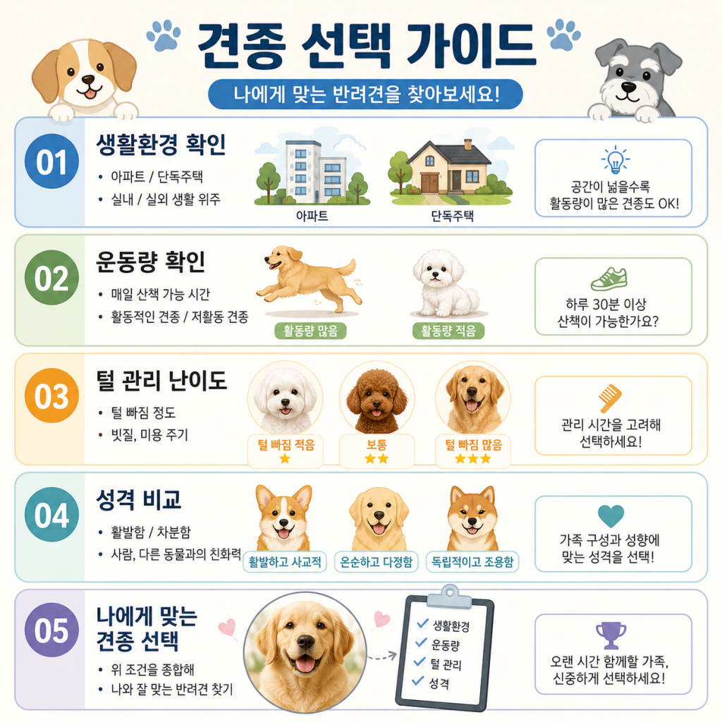 강아지 종류 1