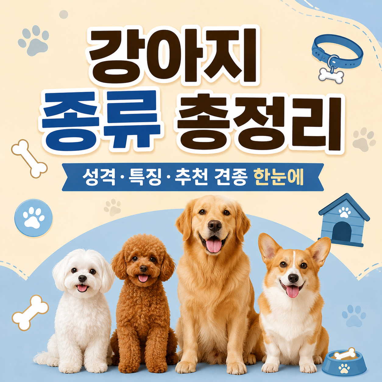 강아지 종류