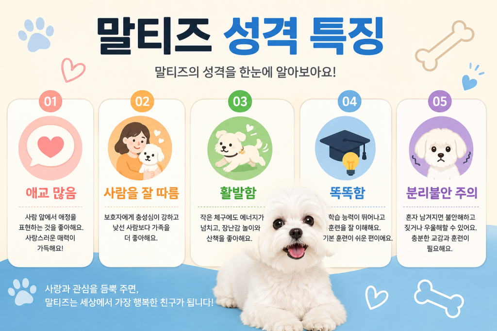 말티즈 성격 1