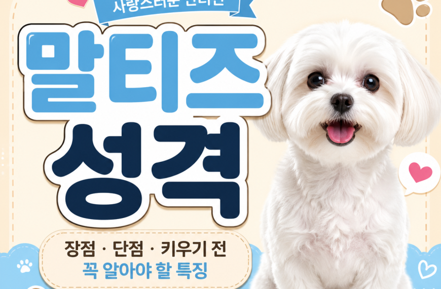 말티즈 성격