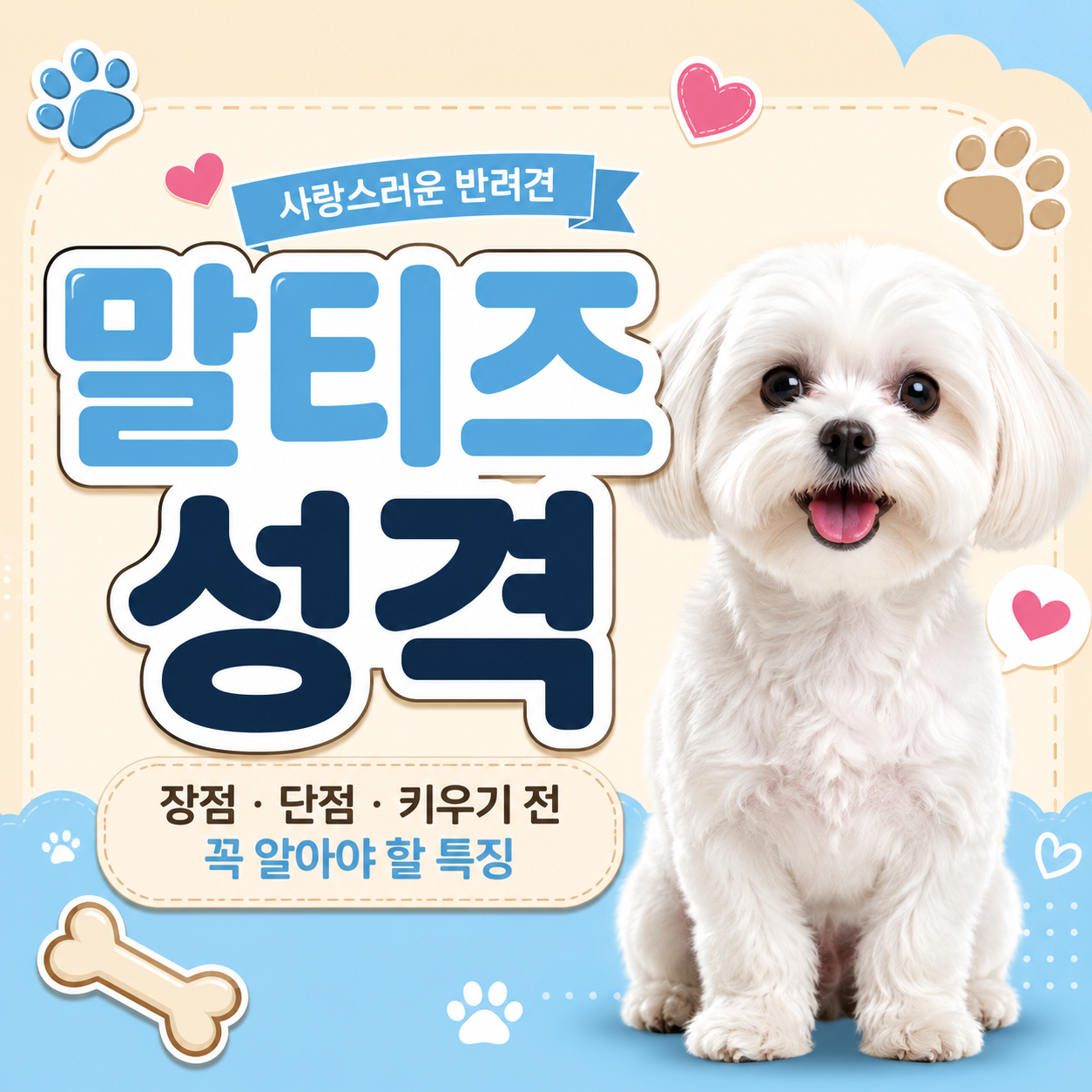 말티즈 성격