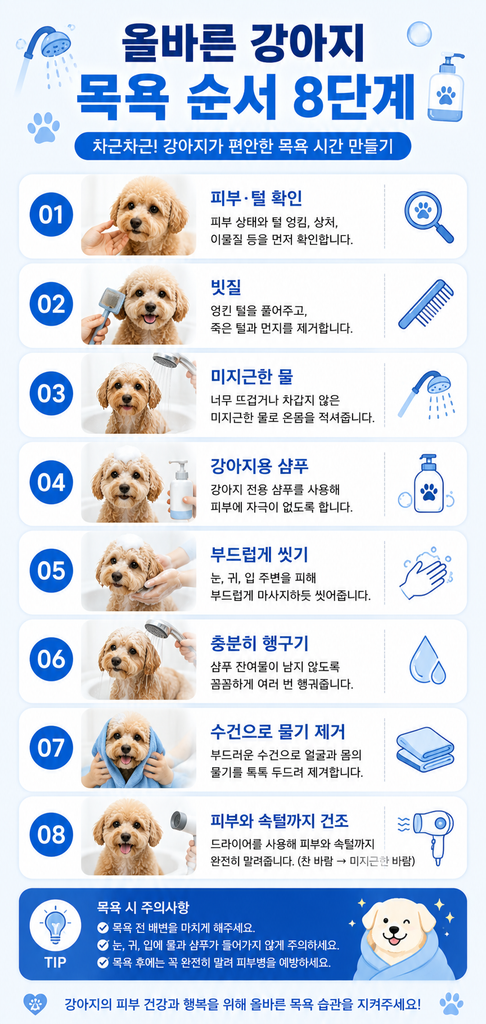 강아지 목욕주기 1