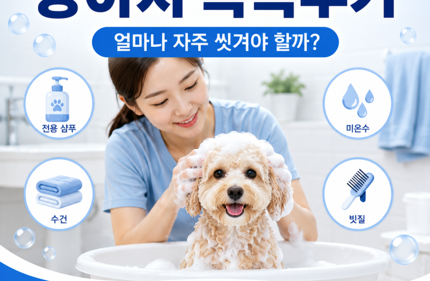 강아지 목욕주기