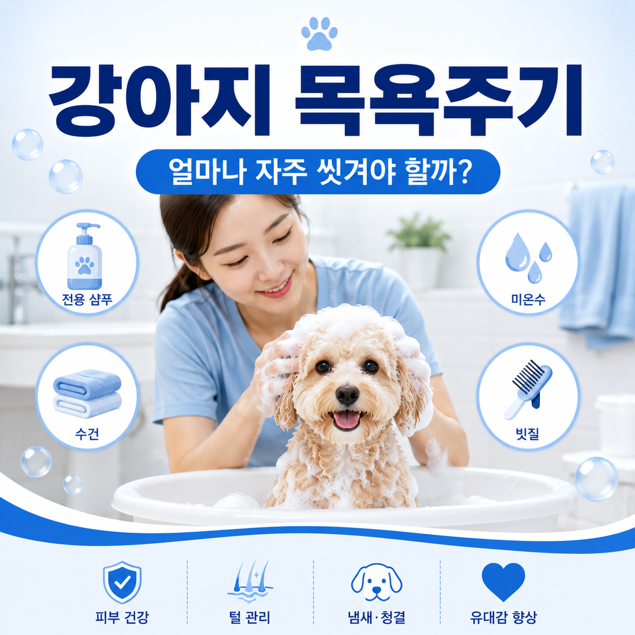 강아지 목욕주기