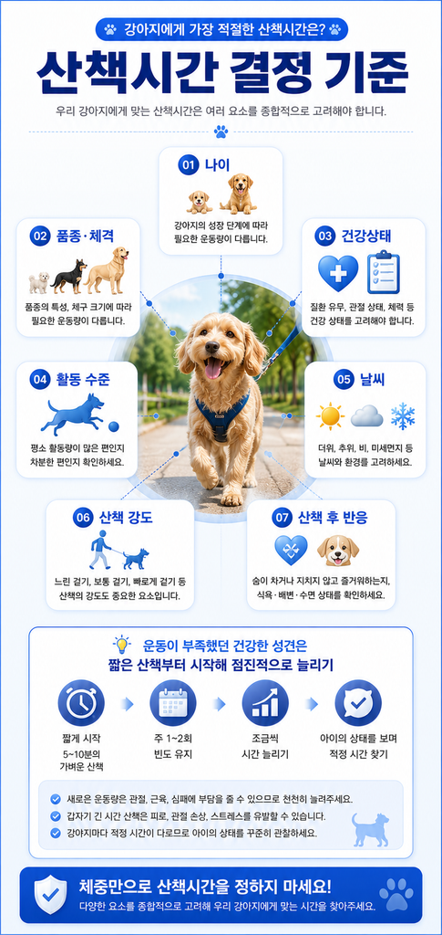 강아지 산책시간 1