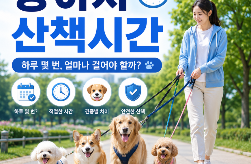 강아지 산책시간