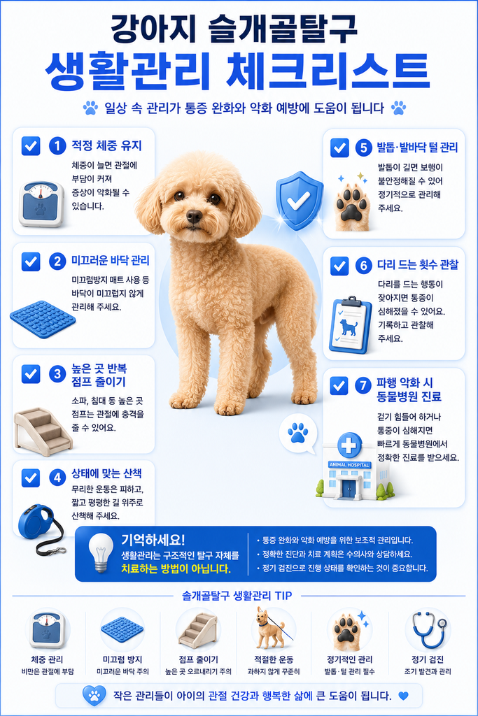강아지 슬개골탈구 2