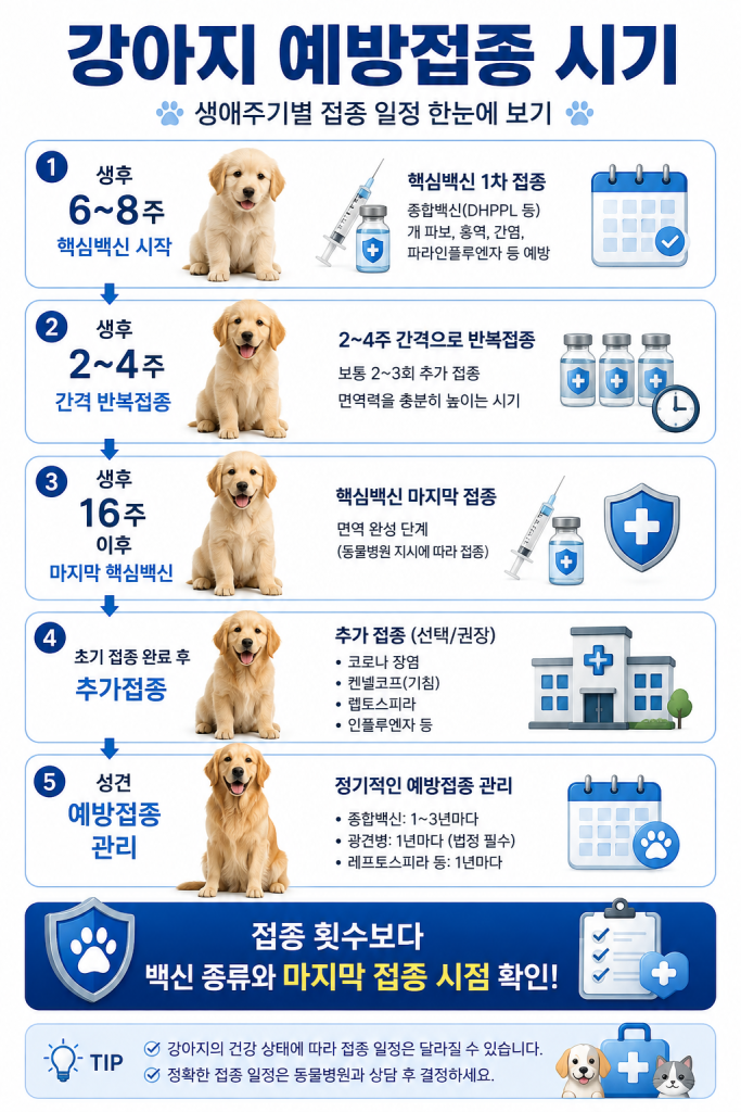강아지 예방접종 1
