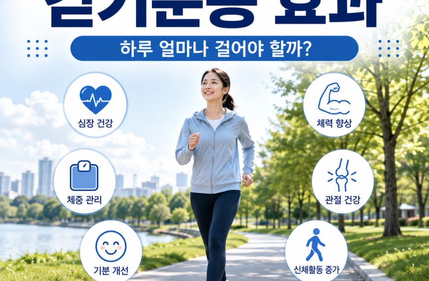 걷기운동 효과