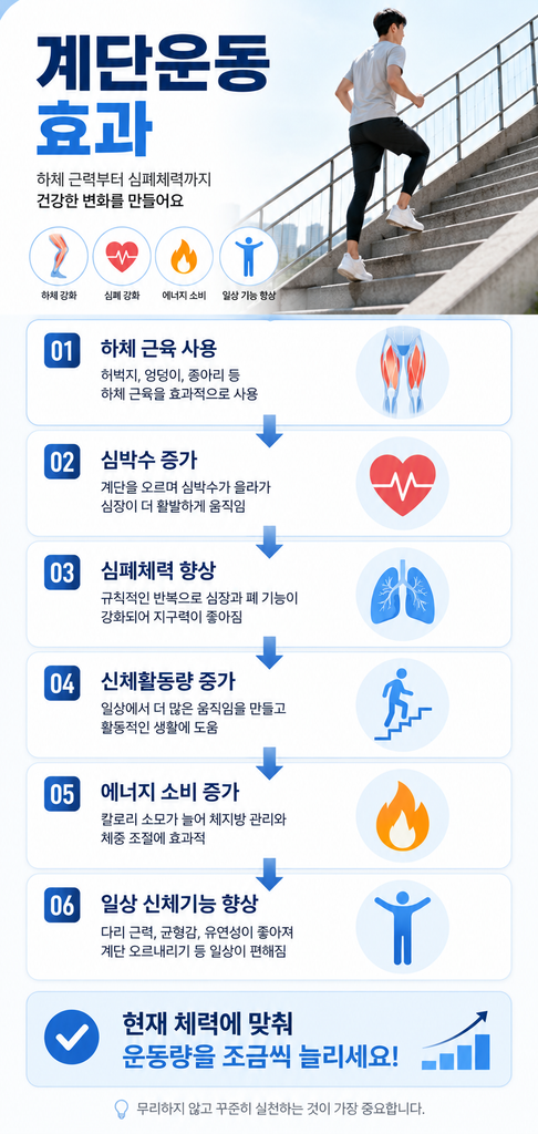 계단운동 효과 1