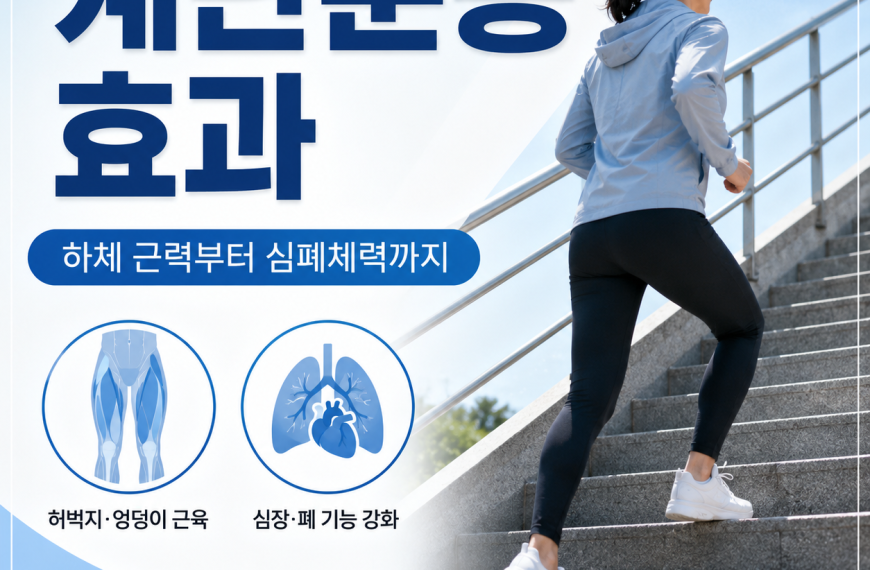 계단운동 효과