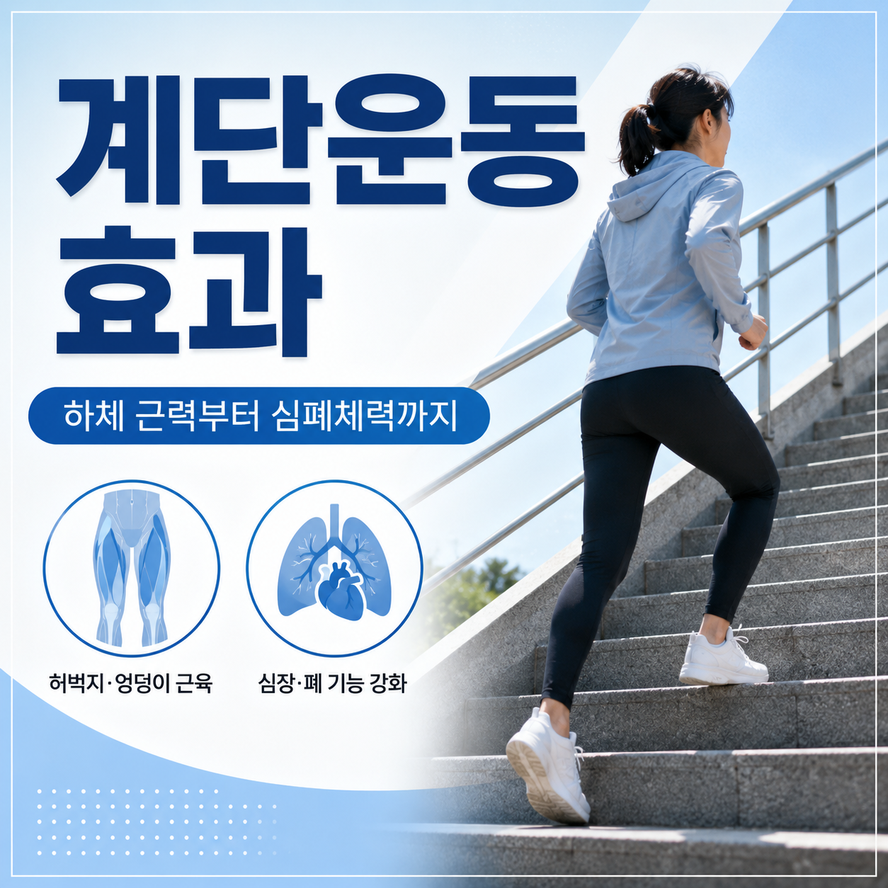 계단운동 효과