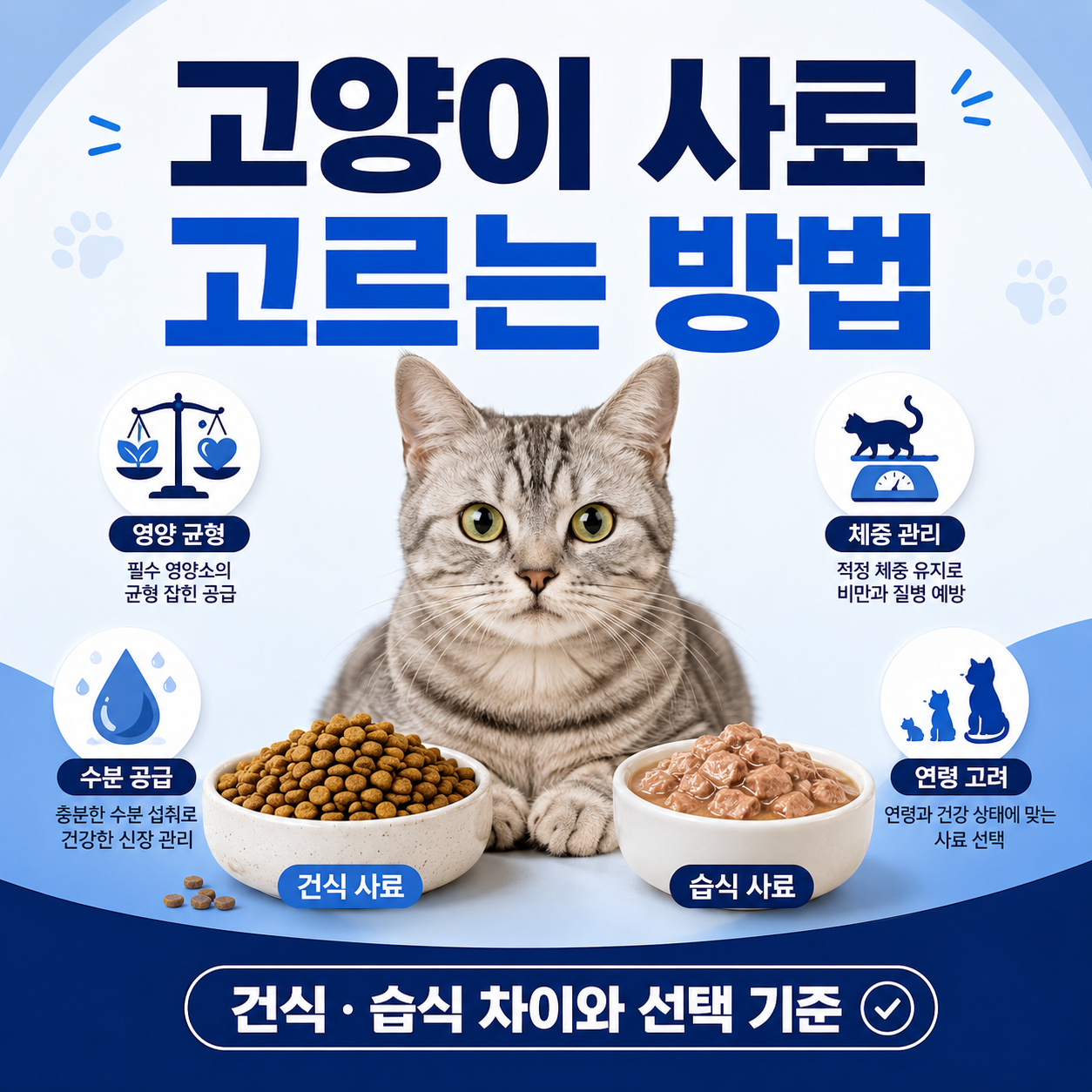 고양이 사료 고르는 방법