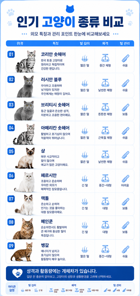 고양이 종류 1