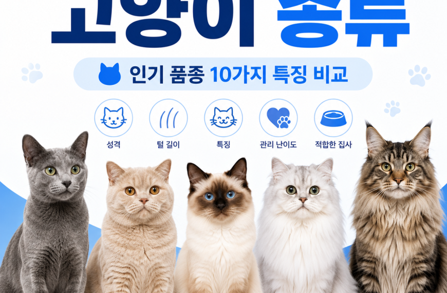 고양이 종류