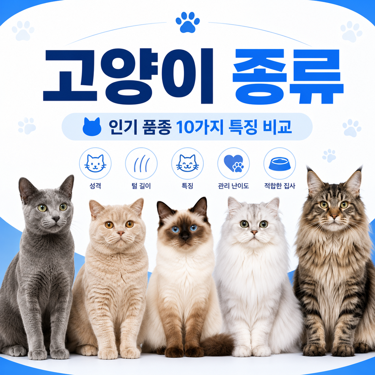 고양이 종류