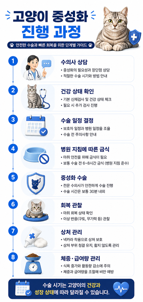 고양이 중성화 1