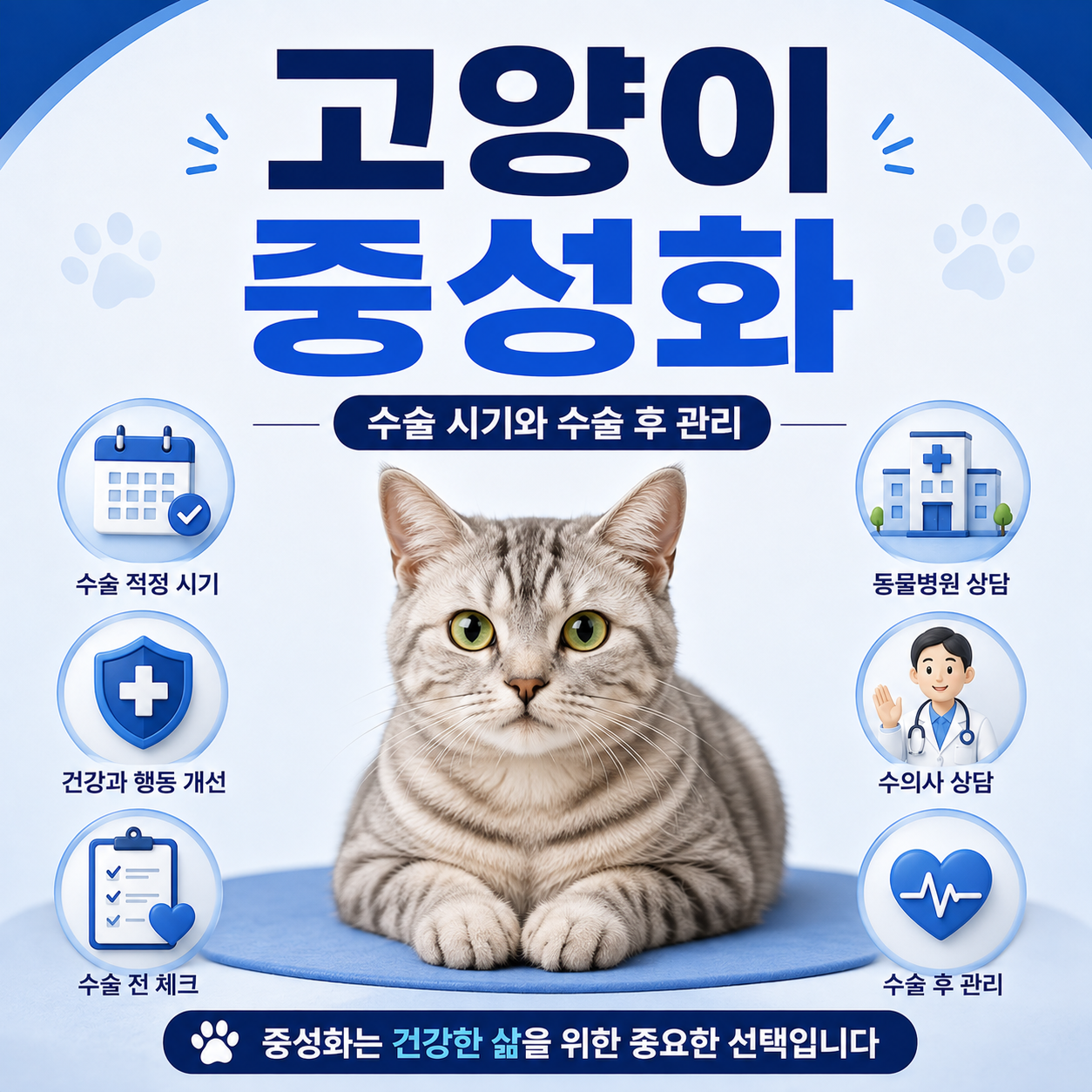 고양이 중성화