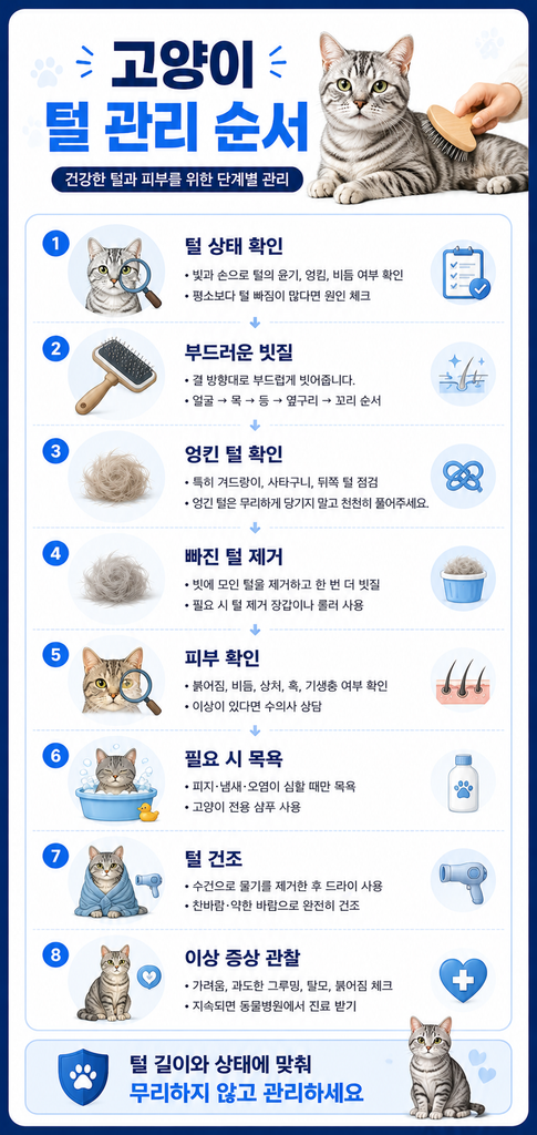 고양이 털 관리 1