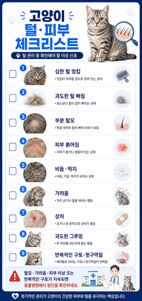 고양이 털 관리 2