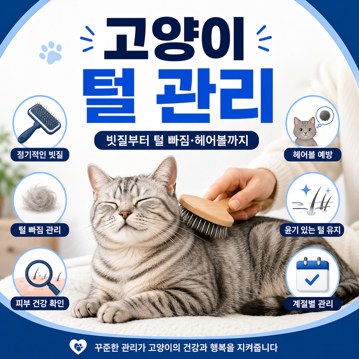 고양이 털 관리