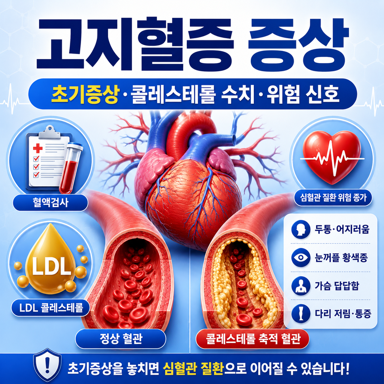 고지혈증 증상