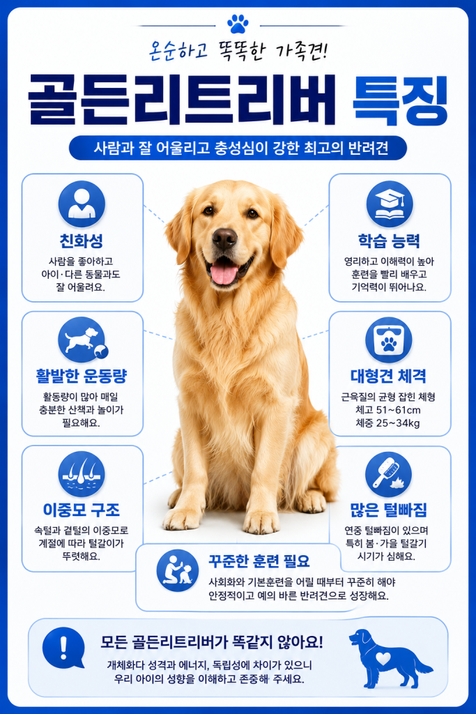 골든리트리버 특징 1