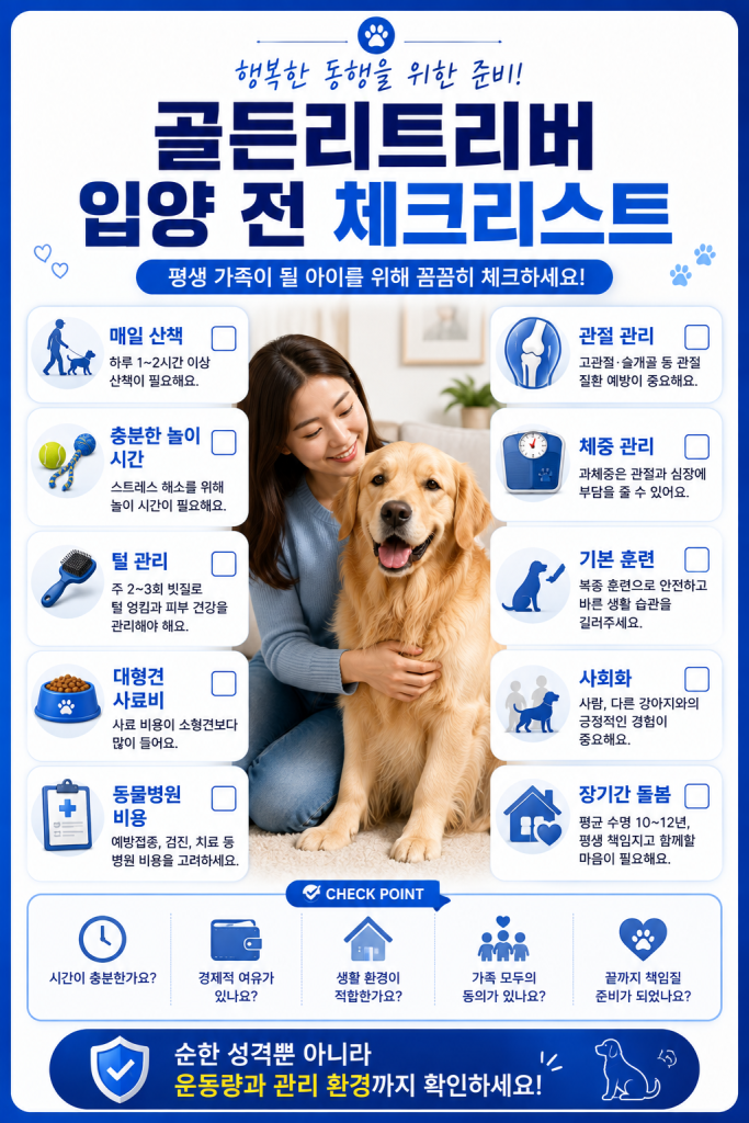 골든리트리버 특징 2