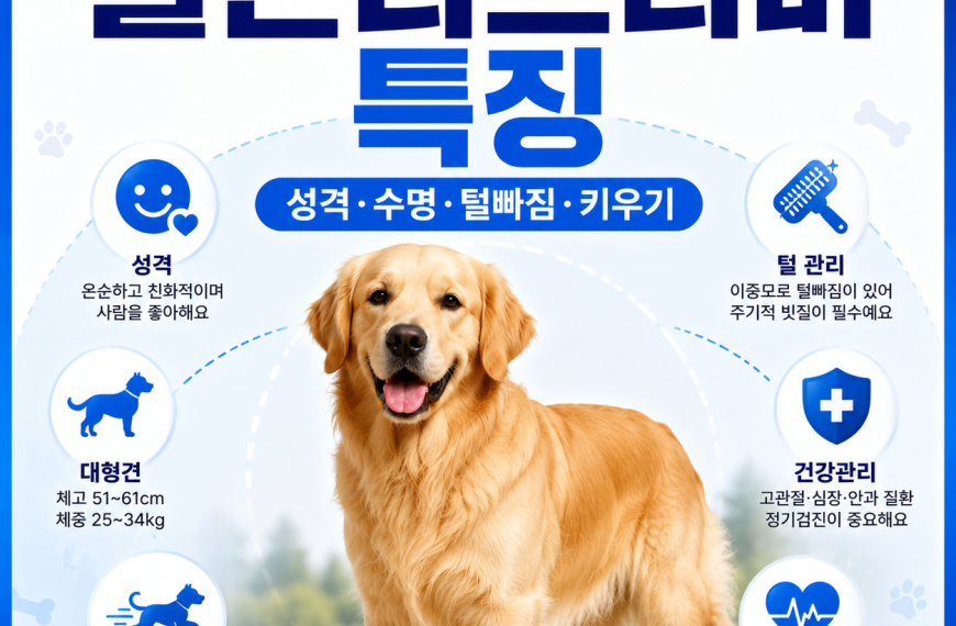 골든리트리버 특징