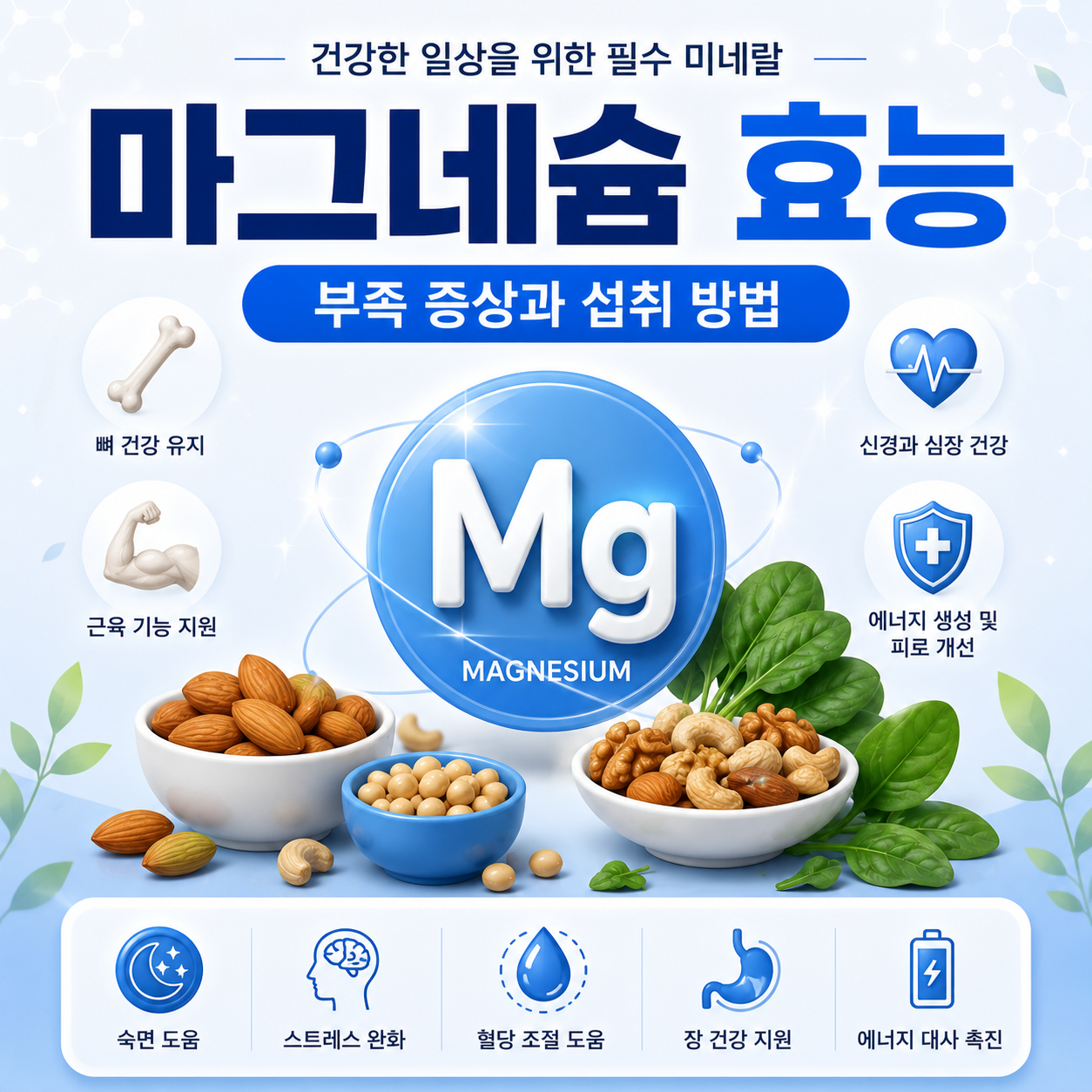 마그네슘 효능