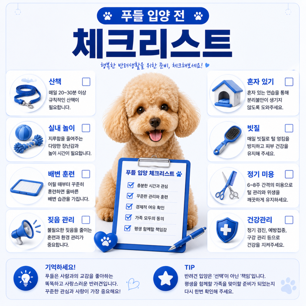 푸들 성격 2