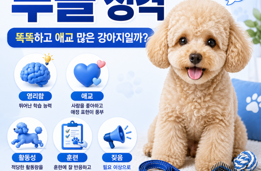푸들 성격