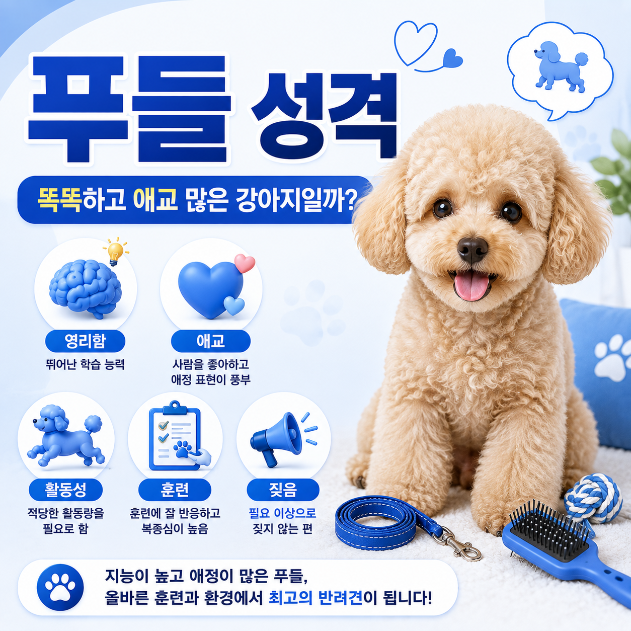 푸들 성격