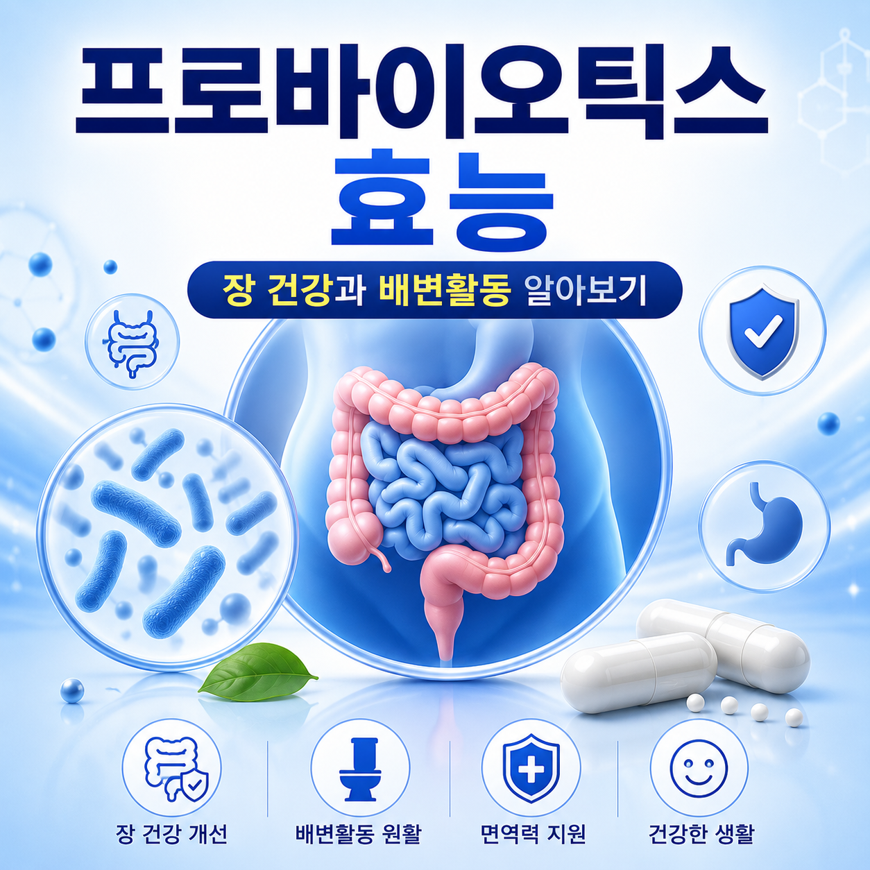 프로바이오틱스 효능