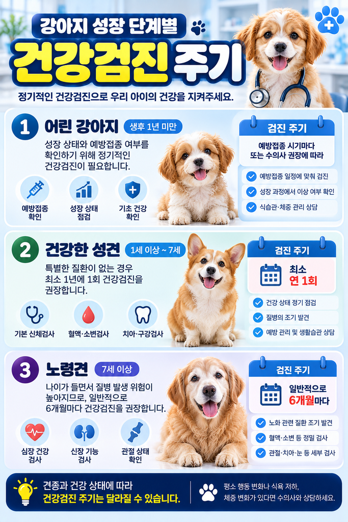 강아지 건강검진 1