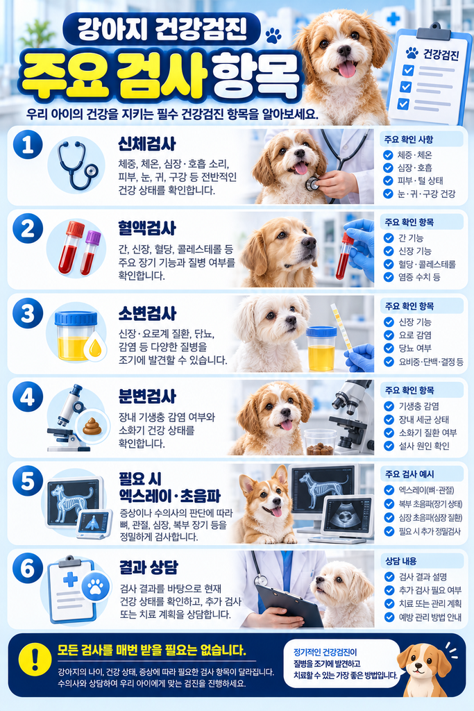 강아지 건강검진 2