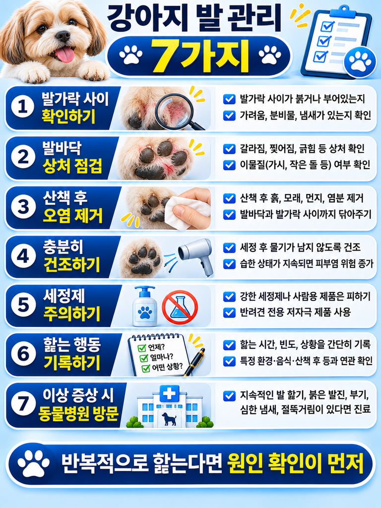 강아지 발 관리 7가지 체크리스트