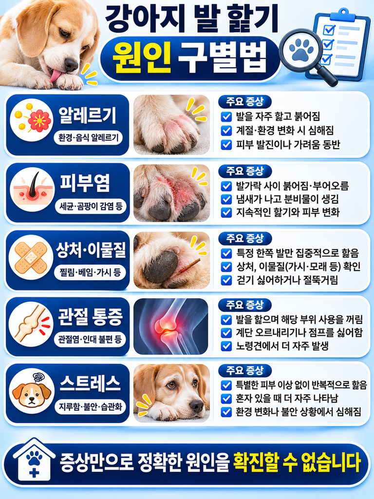 강아지 발 핥기 원인 구별법