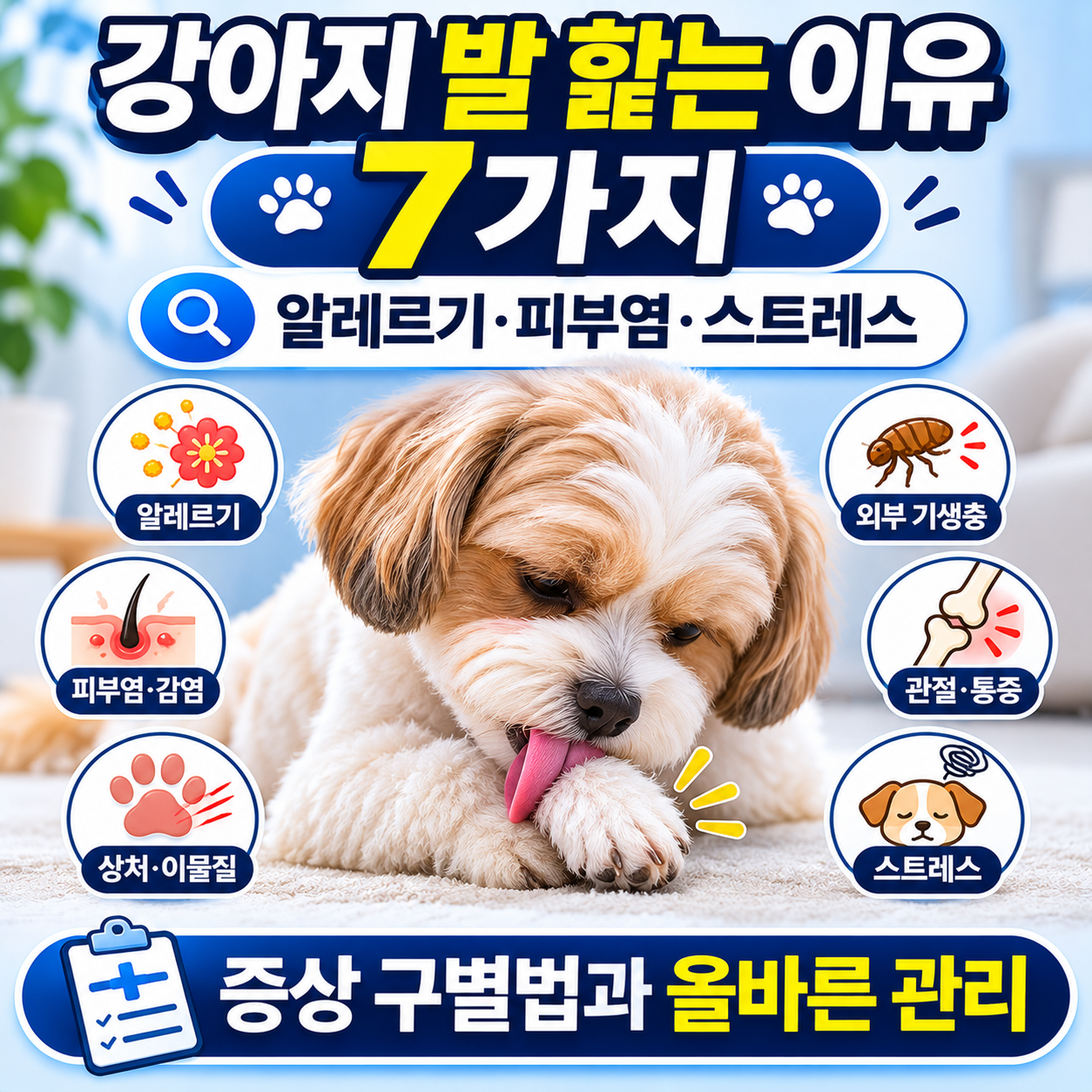 강아지 발 핥는 이유 7가지