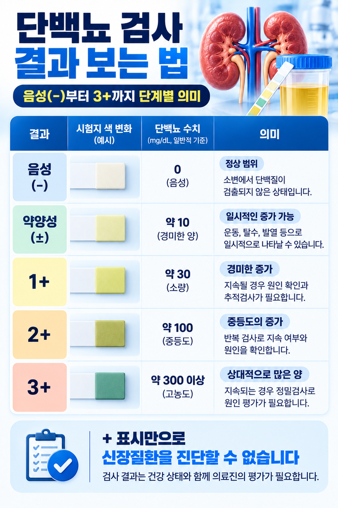 단백뇨 검사 결과 보는 법